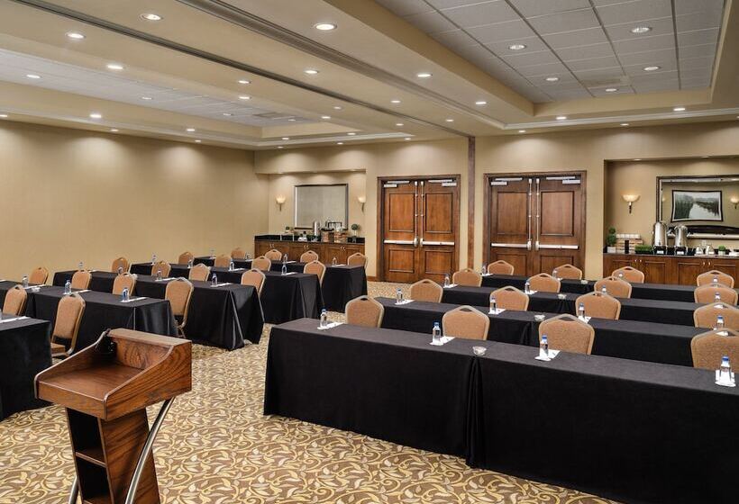 Fotos del hotel Buena Vista Suites Orlando:  25