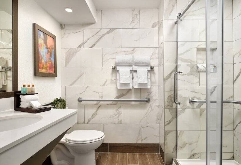 Fotos del hotel Buena Vista Suites Orlando:  4