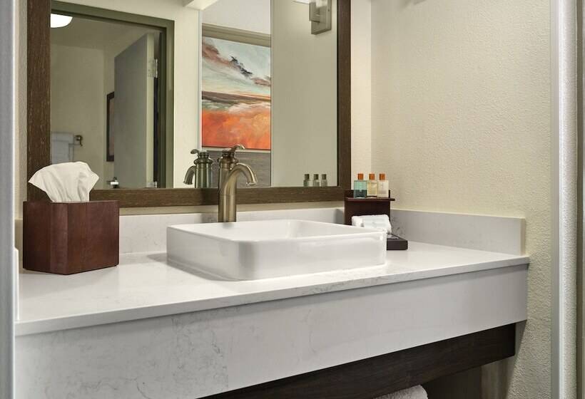 Fotos del hotel Buena Vista Suites Orlando:  8