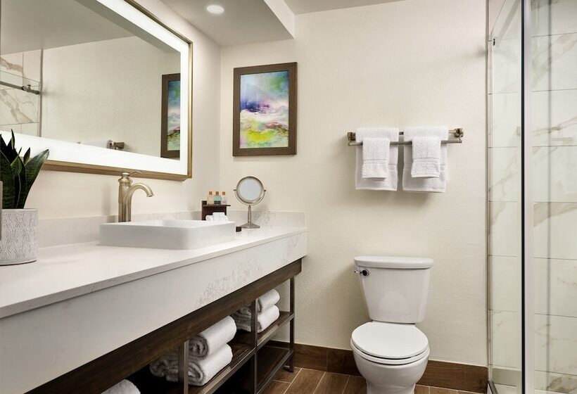 Fotos del hotel Buena Vista Suites Orlando:  28