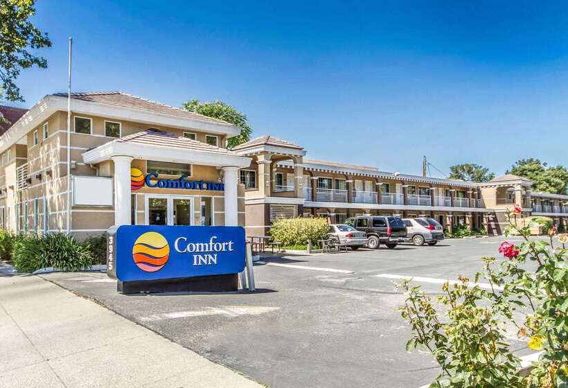 Hotel Comfort Inn Palo Alto