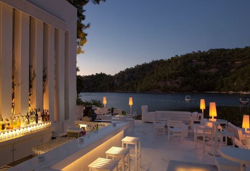 Fotos del hotel Hillside Beach Club:  21
