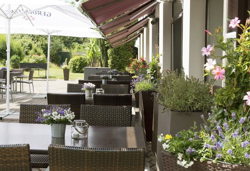 Fotos del hotel Mercure Düsseldorf Airport:  9