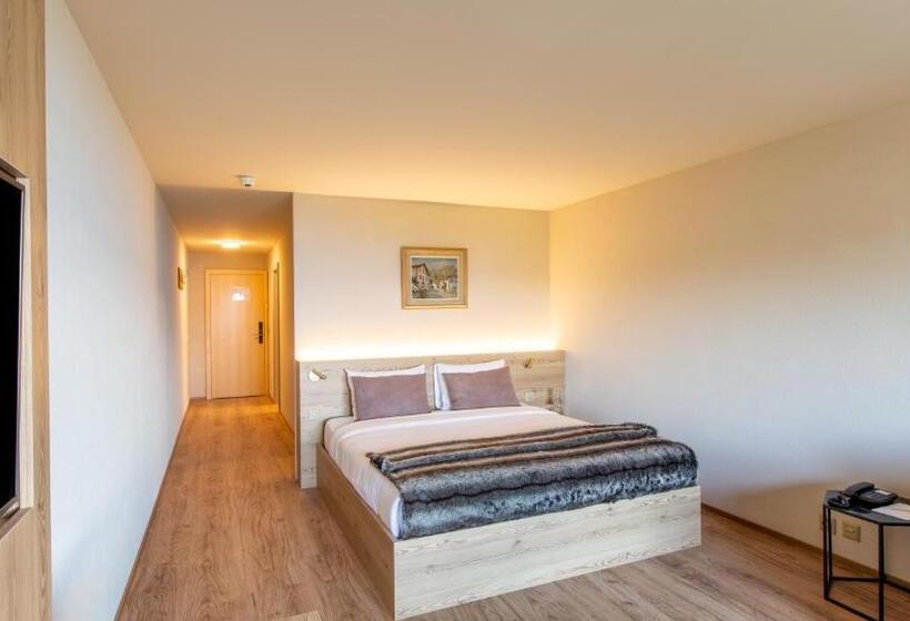 Viu Hotel Villars