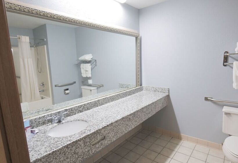 هتل Baymont By Wyndham Flint Airport North