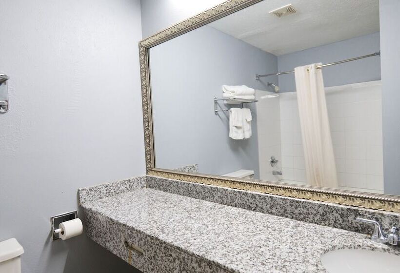 هتل Baymont By Wyndham Flint Airport North