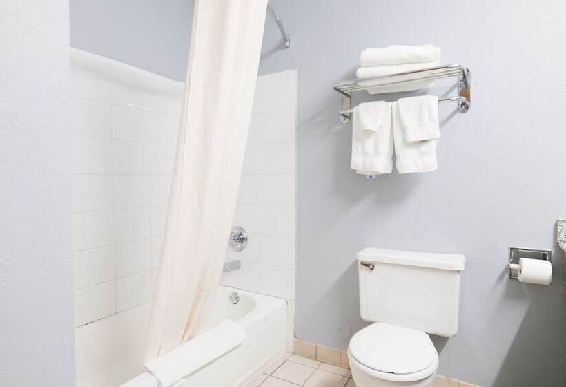 هتل Baymont By Wyndham Flint Airport North