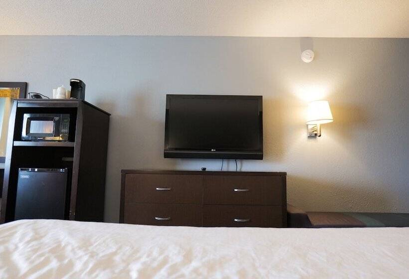 هتل Baymont By Wyndham Flint Airport North