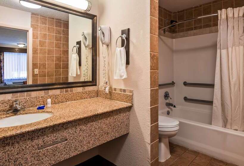호텔 Best Western Braselton Inn
