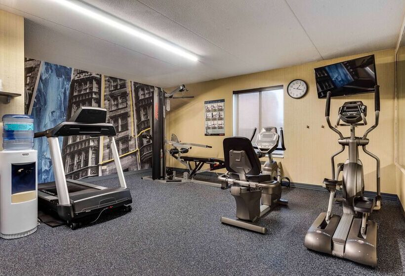 酒店 Best Western Chicago  Downers Grove