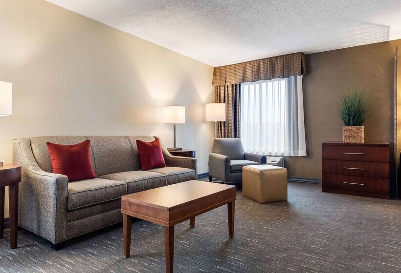 酒店 Best Western Chicago  Downers Grove
