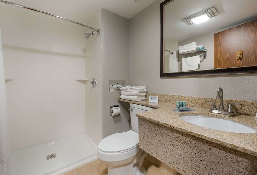 בית מלון כפרי Best Western Detroit Livonia