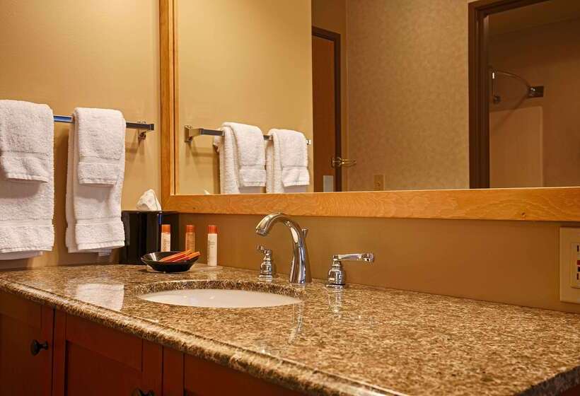 Отель Best Western Inn At The Rogue
