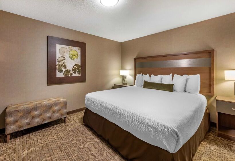 Hotel Best Western Plus Anaheim Inn