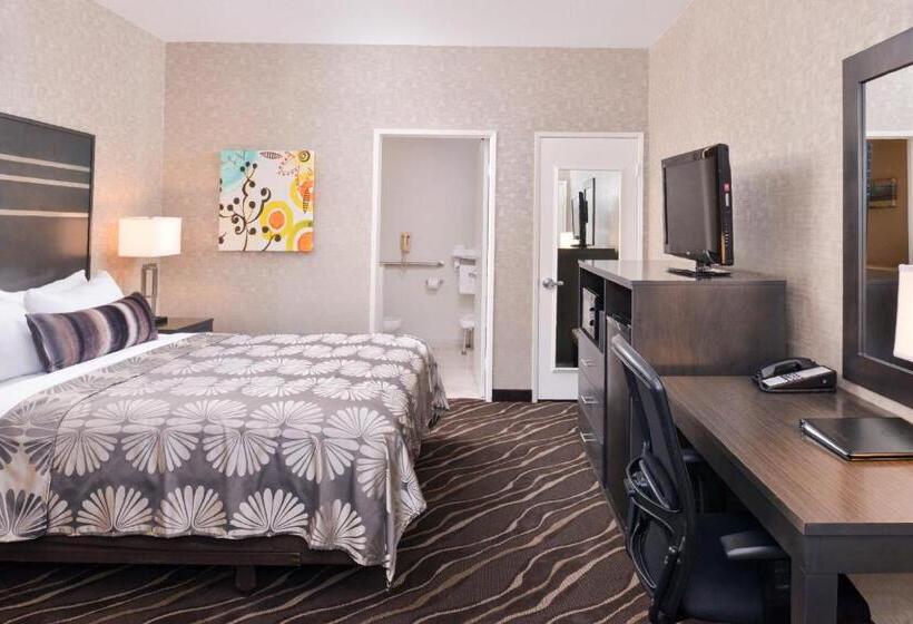 Hotel Best Western Plus Park Place Inn Mini Suites