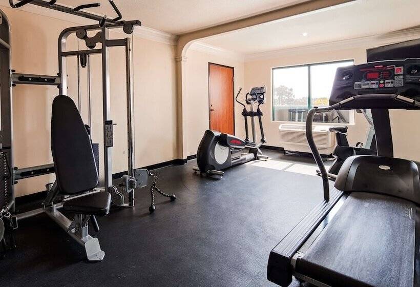 Best Western Plus Suites Hotel   Los Angeles Lax Airport