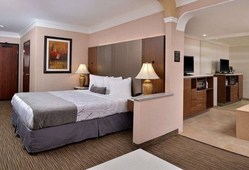 Best Western Plus Suites Hotel Los Angeles Lax Airport