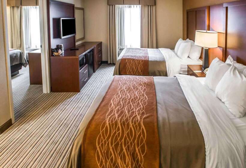 ホテル Comfort Inn At The Park