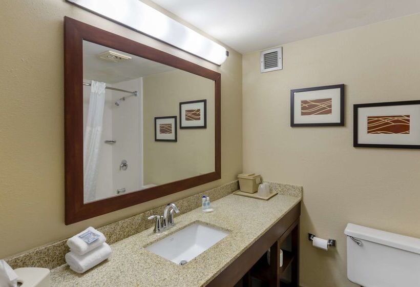 בית מלון כפרי Comfort Inn Blacksburg University Area