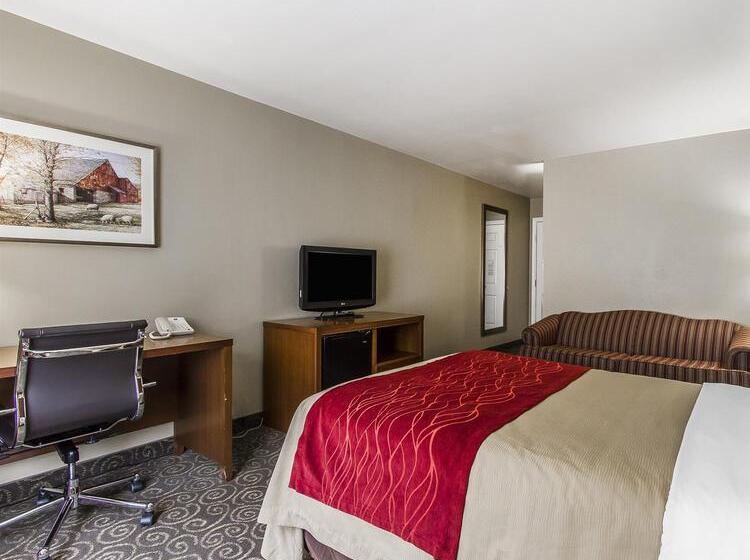 هتل Comfort Inn Brunswick