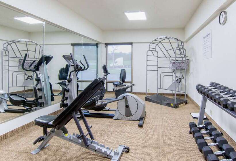 酒店 Comfort Inn Chester  Richmond South