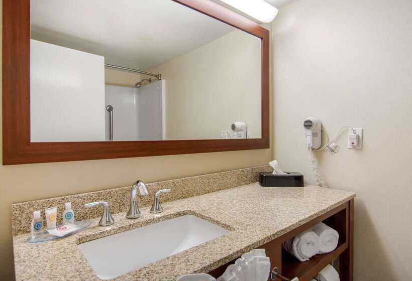 酒店 Comfort Inn Chester  Richmond South