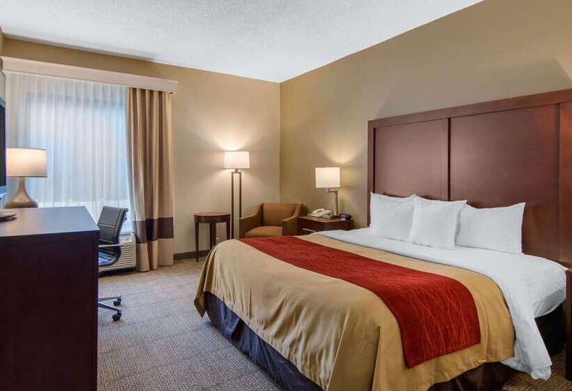 酒店 Comfort Inn Chester  Richmond South