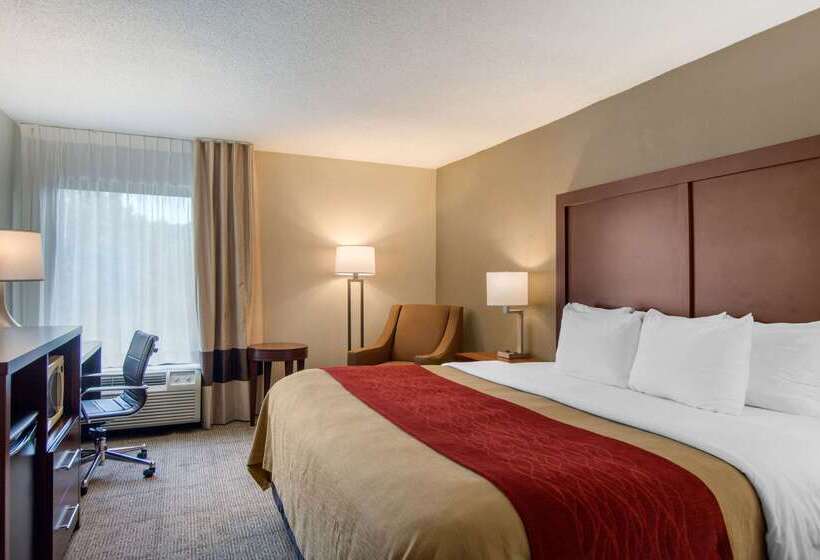 酒店 Comfort Inn Chester  Richmond South