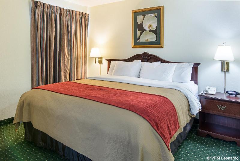 酒店 Comfort Inn Chester  Richmond South