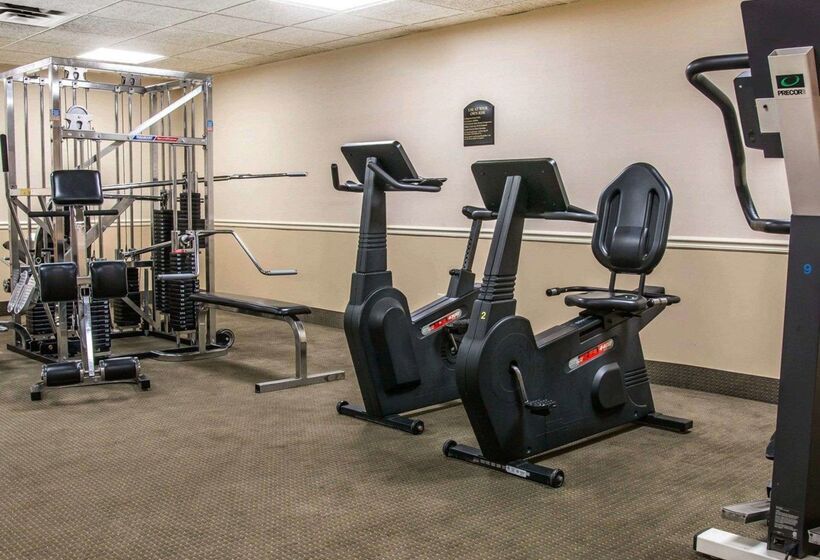 בית מלון כפרי Comfort Inn Livonia