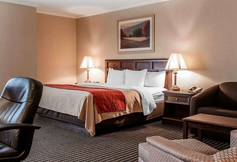 Отель Comfort Inn Livonia
