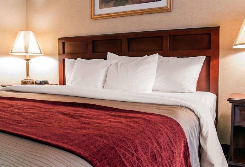 בית מלון כפרי Comfort Inn Livonia