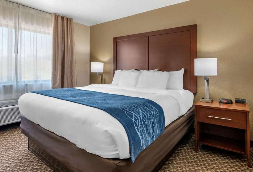 בית מלון כפרי Comfort Inn Near Kokomo Speedway
