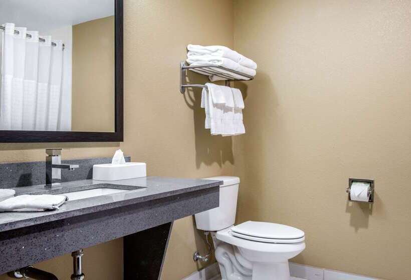 هتل Comfort Inn & Suites Ashland