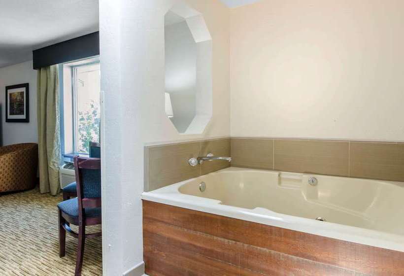 هتل Comfort Inn & Suites Ashland