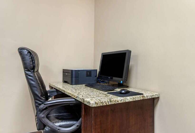 هتل Comfort Inn & Suites Clemson  University Area