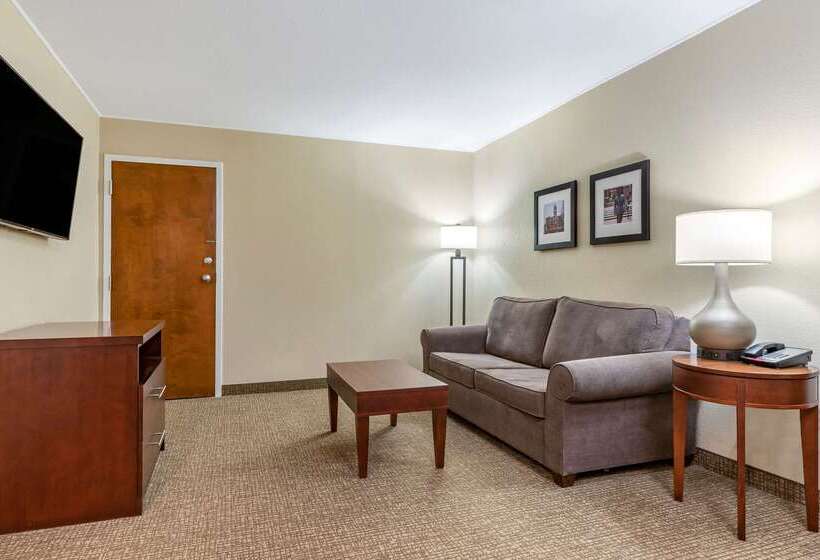 هتل Comfort Inn & Suites Clemson  University Area