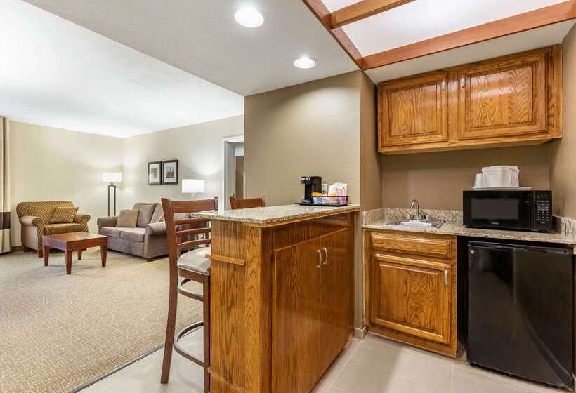 هتل Comfort Inn & Suites Clemson  University Area