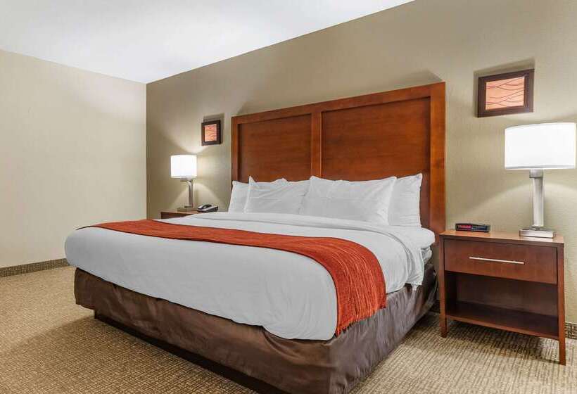 Hotel Comfort Inn & Suites Clemson  University Area