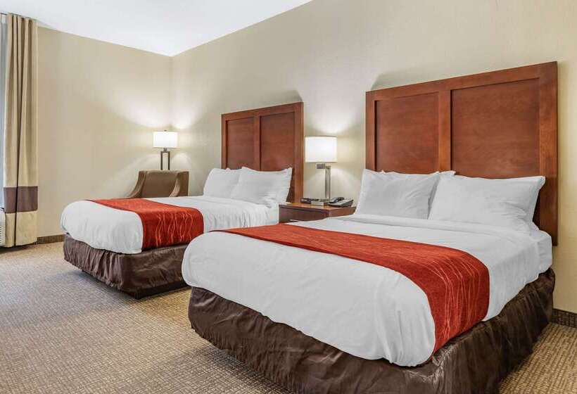 هتل Comfort Inn & Suites Clemson  University Area
