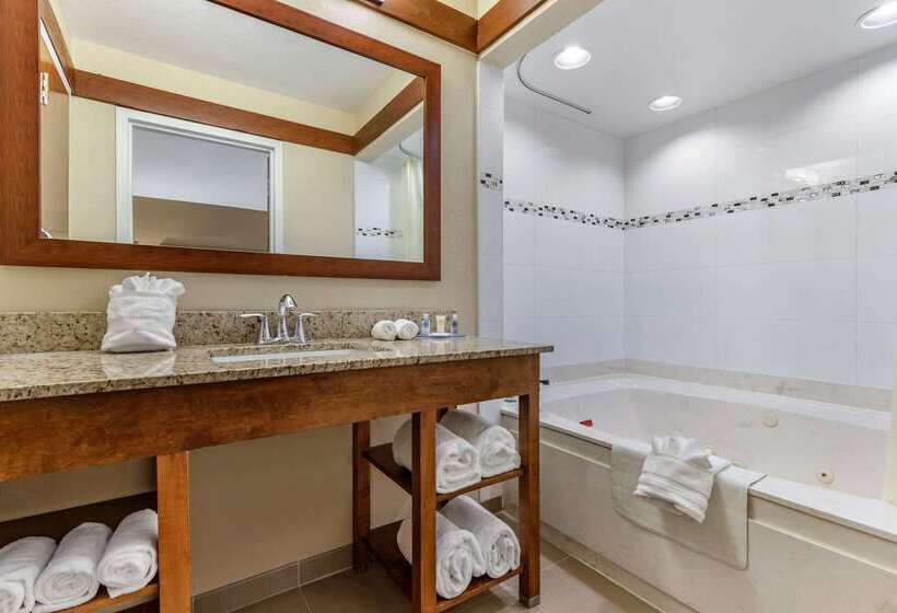 هتل Comfort Inn & Suites Clemson  University Area