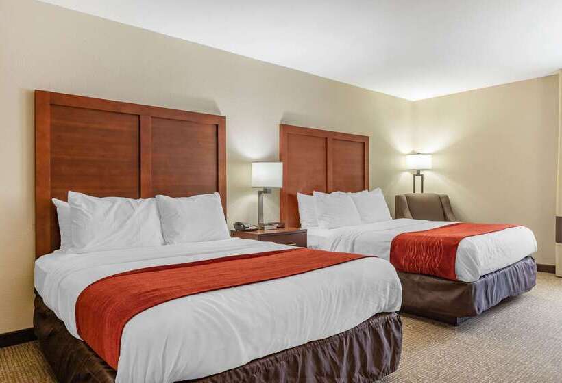هتل Comfort Inn & Suites Clemson  University Area