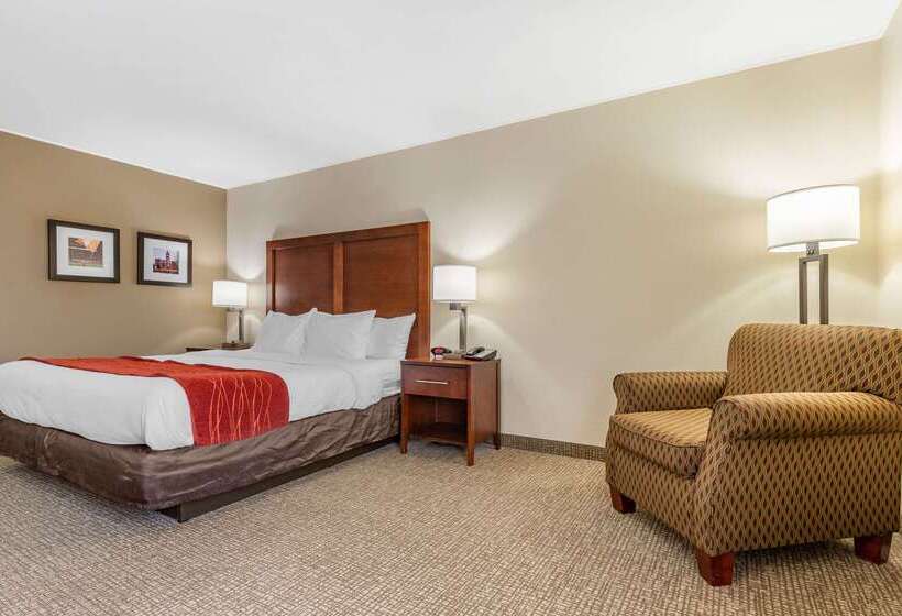 هتل Comfort Inn & Suites Clemson  University Area