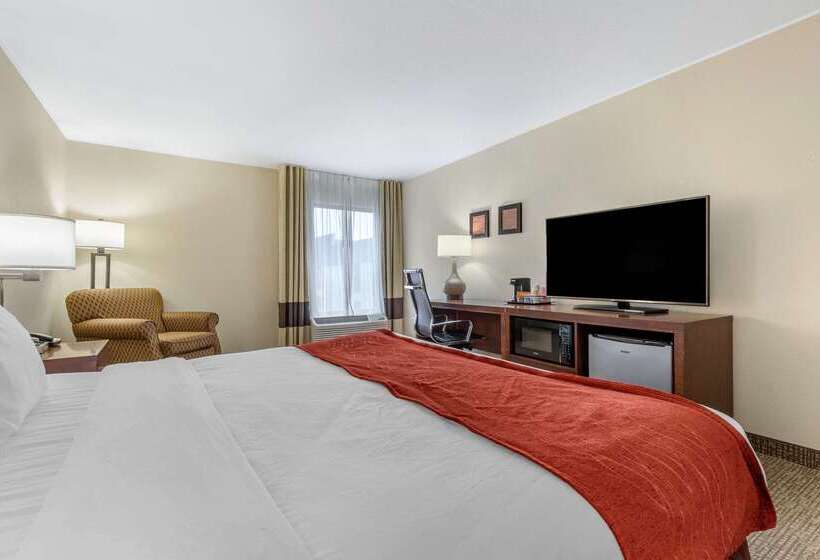 هتل Comfort Inn & Suites Clemson  University Area