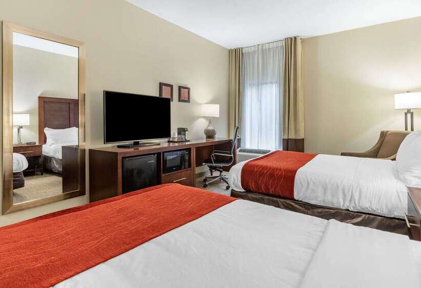 هتل Comfort Inn & Suites Clemson  University Area