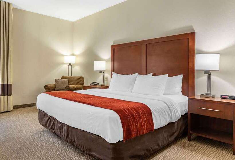 هتل Comfort Inn & Suites Clemson  University Area