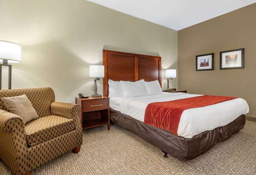 هتل Comfort Inn & Suites Clemson  University Area