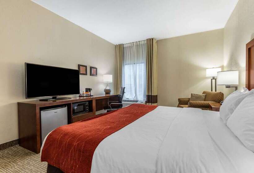هتل Comfort Inn & Suites Clemson  University Area