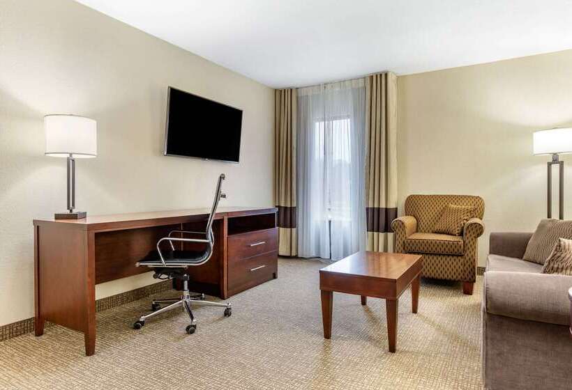 Hotel Comfort Inn & Suites Clemson  University Area