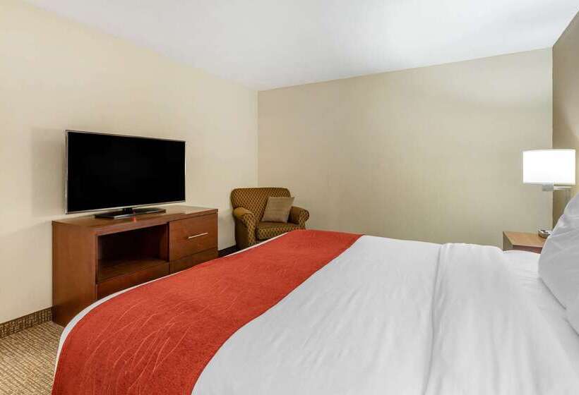 هتل Comfort Inn & Suites Clemson  University Area